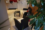 HALL RECEPTION